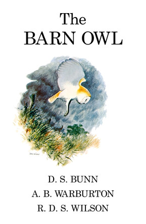 The Barn Owl by D.S Bunn 9781408139585