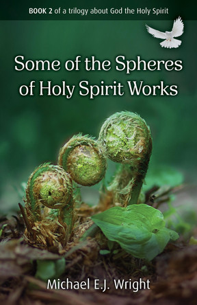 Some of the Spheres Holy Spirit Works: Book 2 of a trilogy about God the Holy Spirit by Michael E.J. Wright 9781917455244