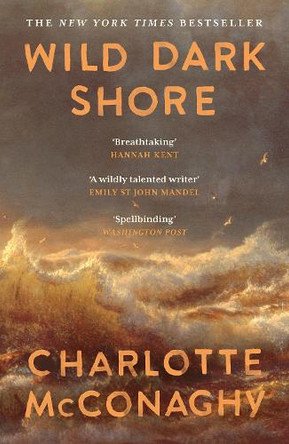 Wild Dark Shore Charlotte McConaghy 9781837265923