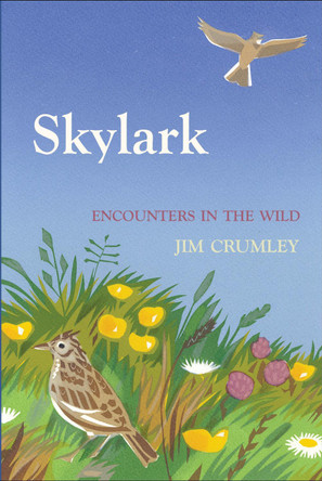 Skylark by Jim Crumley