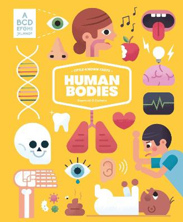 Little-known Facts: The Human Body by Diarmuid O Cathain