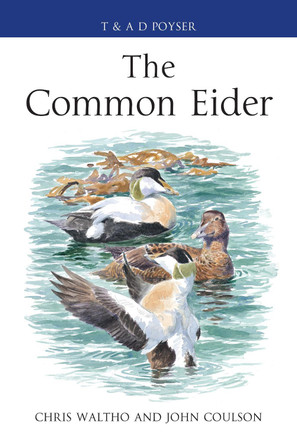 The Common Eider by Chris Waltho 9781408125328