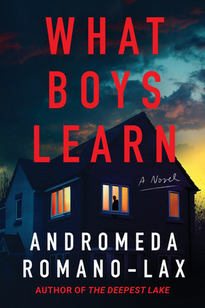 What Boys Learn Andromeda Romano-Lax 9781641296915