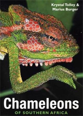 Chameleons of Southern Africa by Krystal Tolley 9781770073753