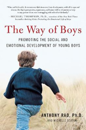 The Way of Boys: Promoting the Social and Emotional Development of Young Boys by Anthony Rao