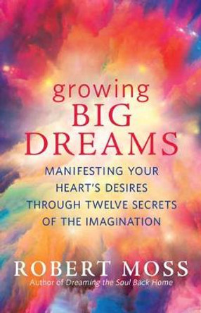 Growing Big Dreams: Manifesting Your Heart's Desires Through Twelve Secrets of the Imagination by Robert Moss