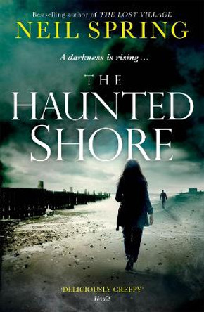 The Haunted Shore: a gripping supernatural thriller from the author of The Ghost Hunters by Neil Spring