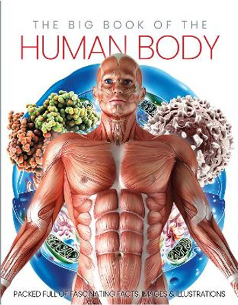 The Big Book of the Human body by Katherine Marsh