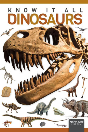 Dinosaurs by Louise Nelson 9798894710037