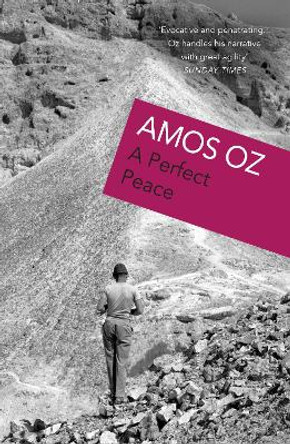 A Perfect Peace by Amos Oz