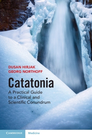 Catatonia: A Practical Guide to a Clinical and Scientific Conundrum by Dusan Hirjak 9781009450959