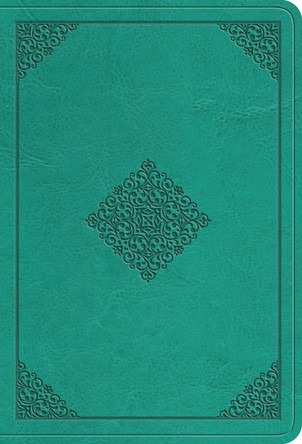 ESV Value Large Print Compact Bible 9798874903046
