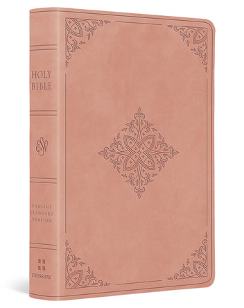 ESV Value Large Print Compact Bible 9798874903077