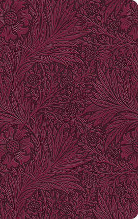 ESV Value Thinline Bible 9798874903350