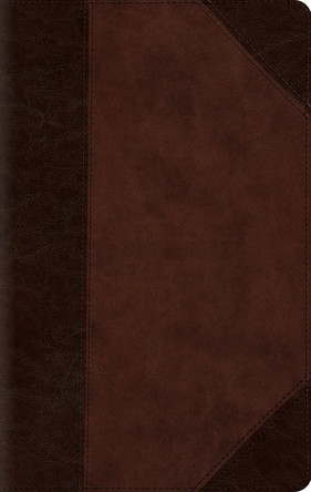 ESV Large Print Compact Bible, Red Letter 9798874902957