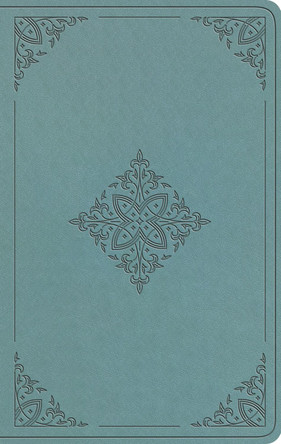 ESV Value Thinline Bible 9798874903367
