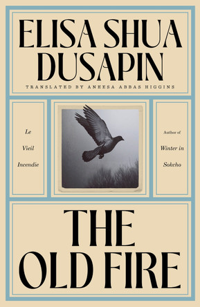 The Old Fire Elisa Shua Dusapin 9781917092333