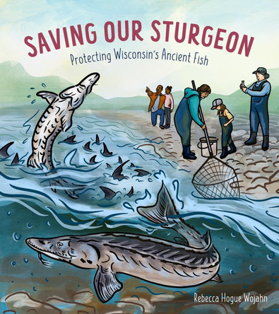 Saving Our Sturgeon: Protecting Wisconsin's Ancient Fish by Rebecca Hogue Wojahn 9781976600517