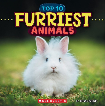 Furriest Animals (Wild World: Top 10) by Brenna Maloney 9781546177494