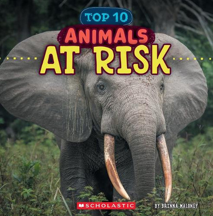 Animals at Risk (Wild World: Top 10) by Brenna Maloney 9781546177517