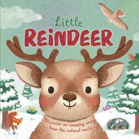 Nature Stories: Little Reindeer by Igloobooks 9781835449707