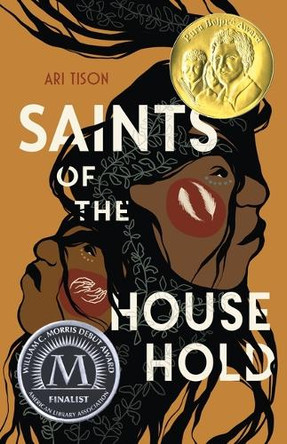 Saints of the Household Ari Tison 9781250907004