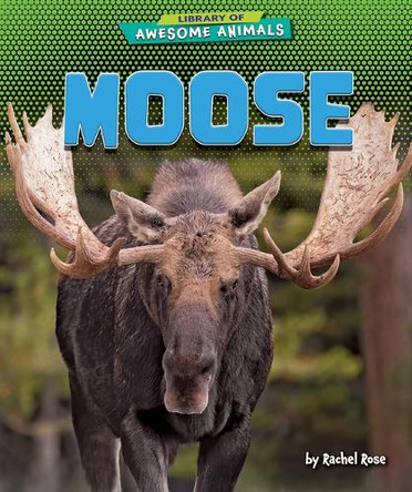 Moose by Rachel Rose 9798895774700