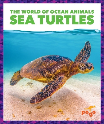 Sea Turtles by Mari C Schuh 9798885245777