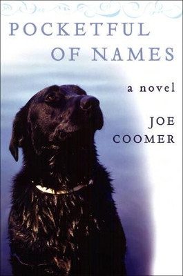 Pocketful Of Names by Joe Coomer 9781555974619