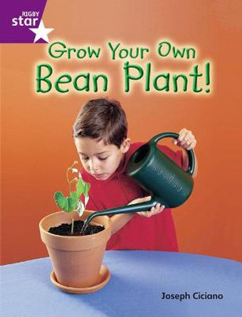 Rigby Star Guided Quest Purple: Grow Your Own Bean Plant! by Joseph Ciciano