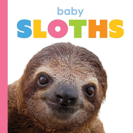 Baby Sloths by Kim Thompson 9798889897552