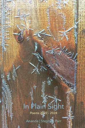 In plain sight by Stephen Parr 9781836907589