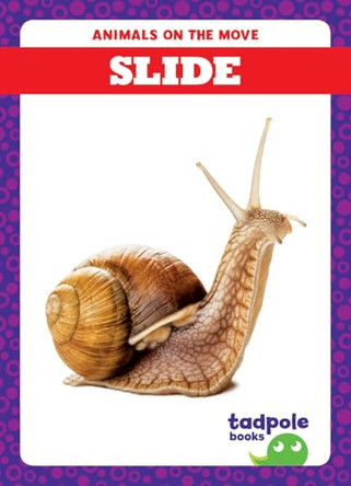 Slide by Jenna Lee Gleisner 9798892138222