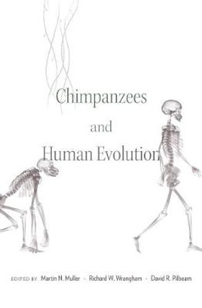 Chimpanzees and Human Evolution by Martin N. Muller