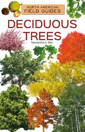 Deciduous Trees by Samantha S Bell 9781098297671