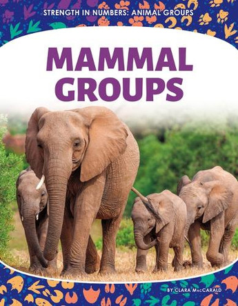 Mammal Groups by Clara Maccarald 9781098297282
