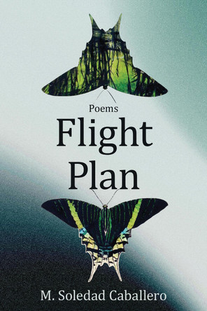 Flight Plan by M Soledad Caballero 9781636284361