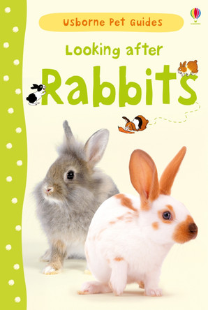 Looking After Rabbits by Fiona Patchett