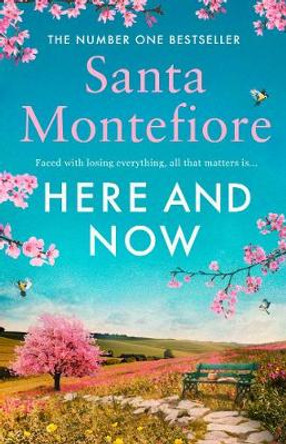 Here and Now: Evocative, emotional and full of life, the most moving book you'll read this year by Santa Montefiore