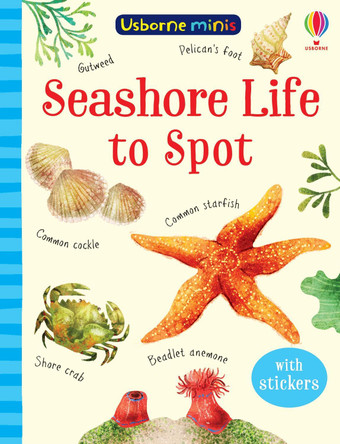 Mini Books Seashore Life to Spot by Sam Smith