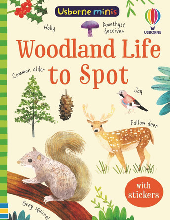 Mini Books Woodland Life to Spot by Kate Nolan