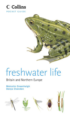 Freshwater Life (Collins Pocket Guide) by Malcolm Greenhalgh