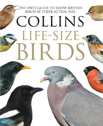 Collins Life-Size Birds: The Only Guide to Show British Birds at their Actual Size by Paul Sterry