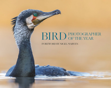 Bird Photographer of the Year: Collection 10 by Bird Photographer of the Year Limited 9780691278674