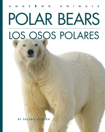 Polar Bears / Los Osos Polares: Bilingual Edition by Valerie Bodden 9798895810132
