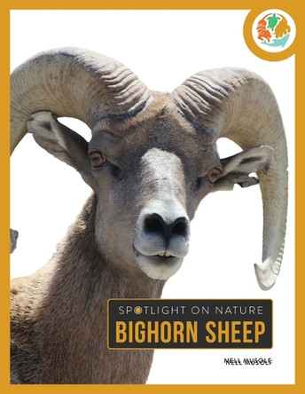 Bighorn Sheep by Nell Musolf 9798889896180