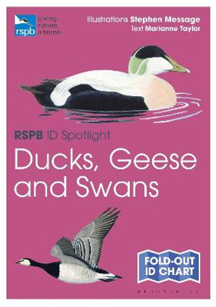 RSPB ID Spotlight - Ducks, Geese and Swans by Stephen Message