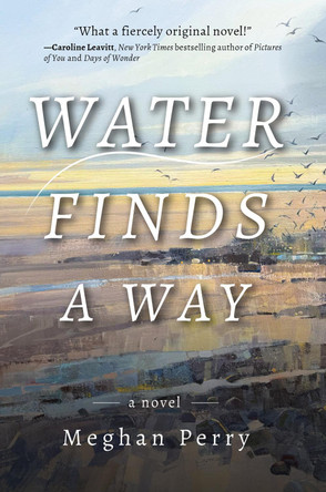 Water Finds a Way a Novel 9781953002648