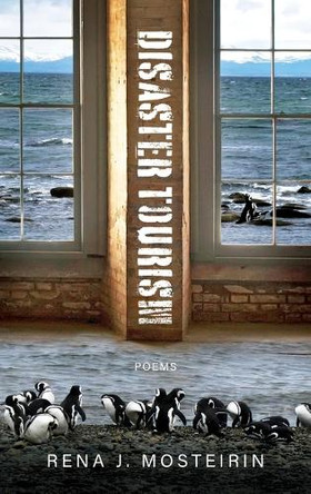 Disaster Tourism by Rena J Mosteirin 9781960145796