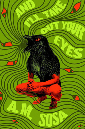 And I'll Take Out Your Eyes: A Novel by Allan Martín Nava Sosa 9781643756912